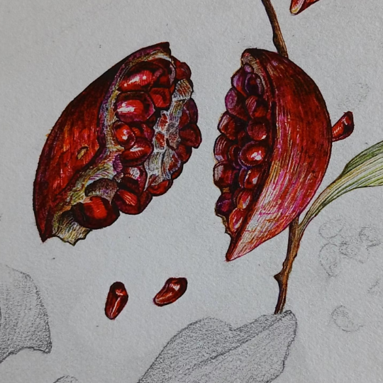 Stranger than fiction drawing workshop